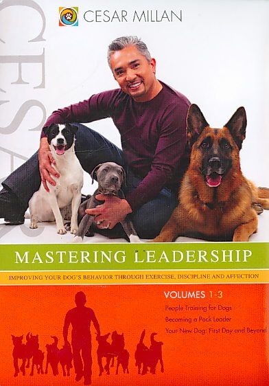 Cesar Millan's Mastering leadership series: [videorecording (DVD)] : people training for dogs. V.1