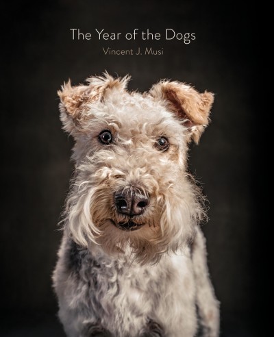 The year of the dogs / Vincent J. Musi.