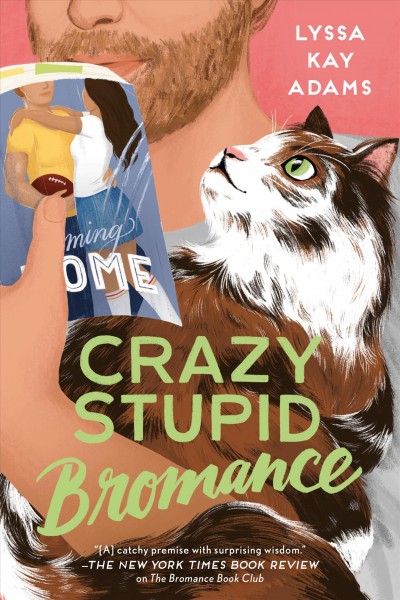 Crazy stupid bromance / Lyssa Kay Adams.