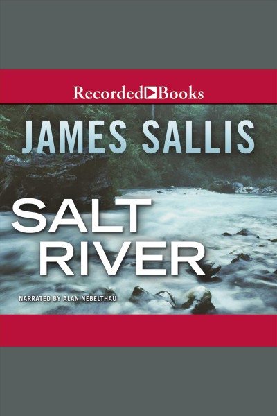 Salt river [electronic resource] : Turner series, book 3. James Sallis.