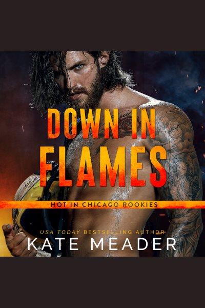 Down in flames [electronic resource] / Kate Meader.