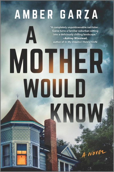 A Mother Would Know : A Novel [electronic resource] / Amber Garza.