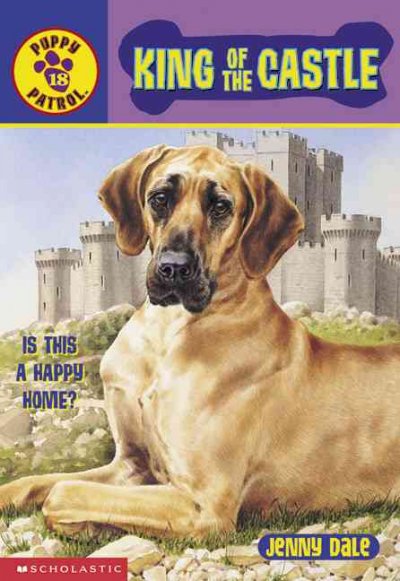 King of the Castle / Jenny Dale ; illustrations by Mick Reid ; cover illustration by Michael Rowe.