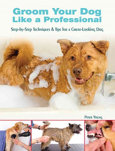 Groom your dog like a professional : step-by-step techniques & tips for a great-looking dog / Peter Young.