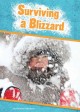 Go to record Surviving a blizzard