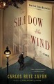 The shadow of the wind Cover Image
